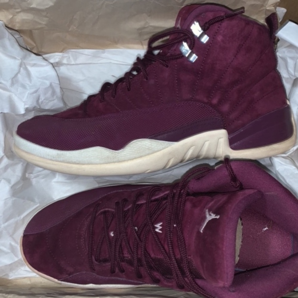 Jordan retro 12